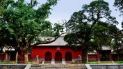 会善寺
