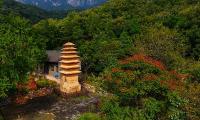郑州登封市三祖庵塔